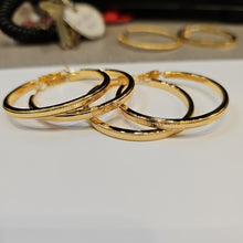 Load image into Gallery viewer, Gold Lined Hoop Earrings