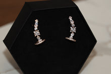 Load image into Gallery viewer, Climbers