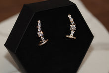 Load image into Gallery viewer, Climbers