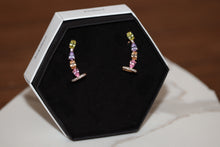 Load image into Gallery viewer, Climbers